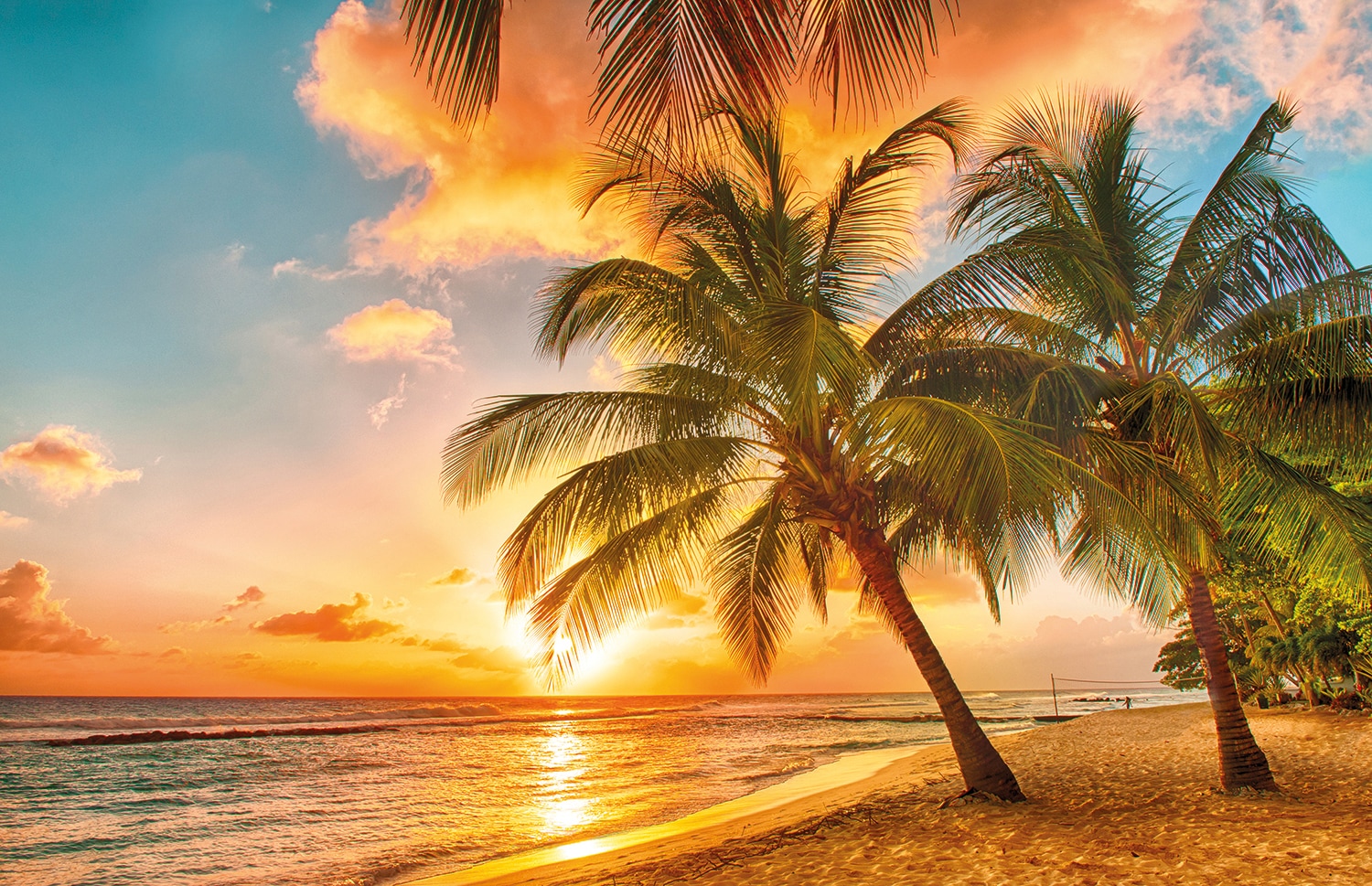 Papermoon Fototapete »Barbados Palm Beach«