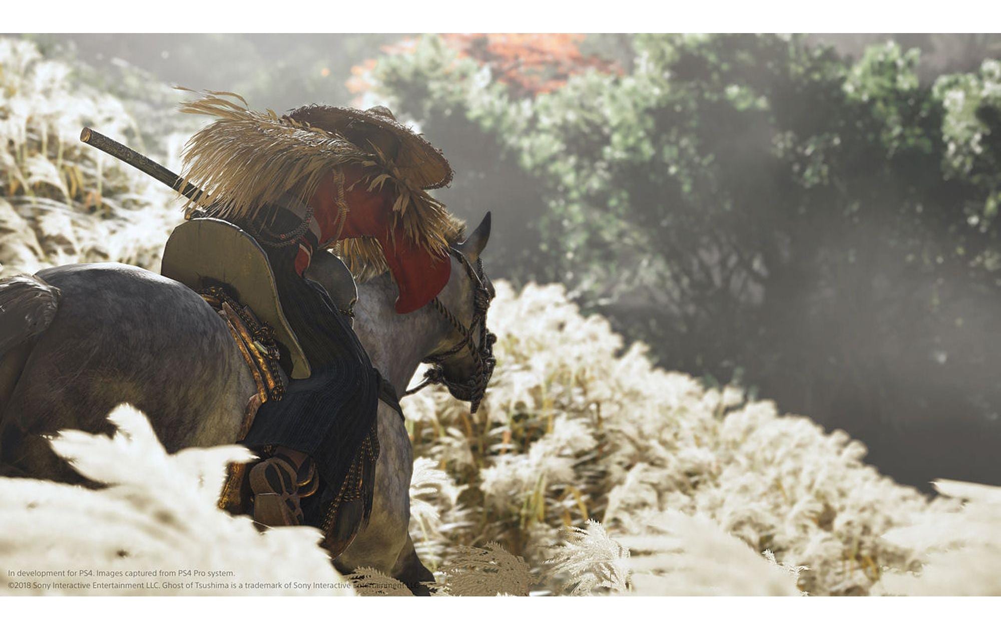 Spielesoftware »GAME Tsushima: Directors«, PlayStation 4