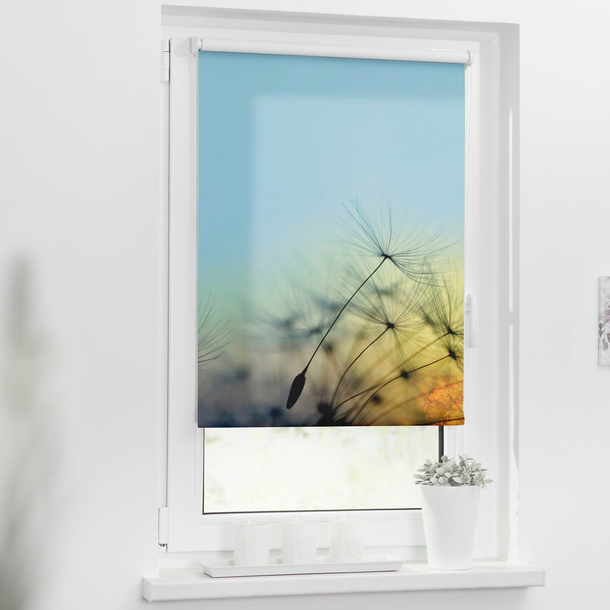 LICHTBLICK ORIGINAL Seitenzugrollo »Rollo Klemmfix, ohne Bohren, Verdunkelung, Pusteblume - Blau«, verdunkelnd, Verdunkelung-energiesparend, freihängend