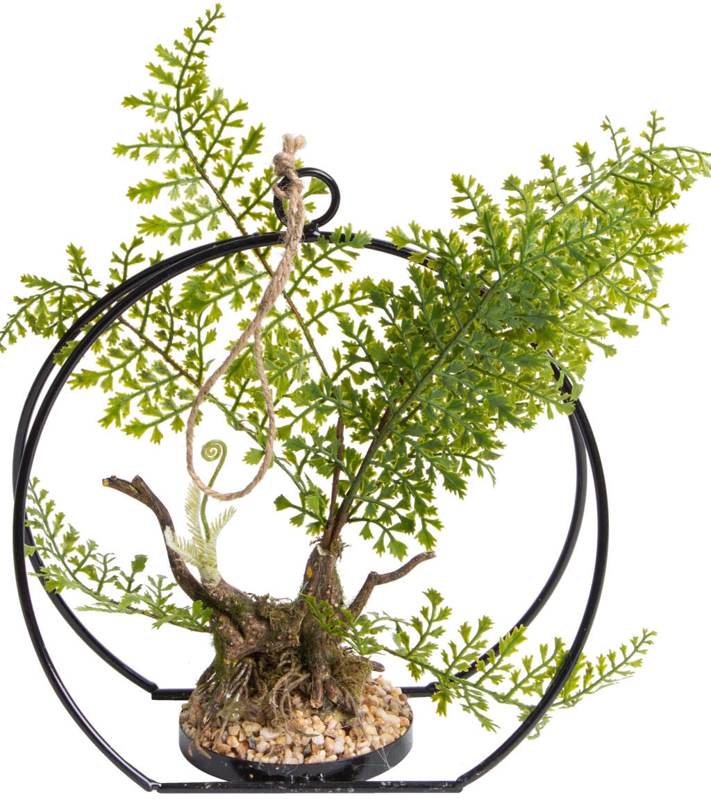 Image of Botanic-Haus Künstliche Zimmerpflanze »Farn im Metallbogen«, (1 St.) bei Ackermann Versand Schweiz