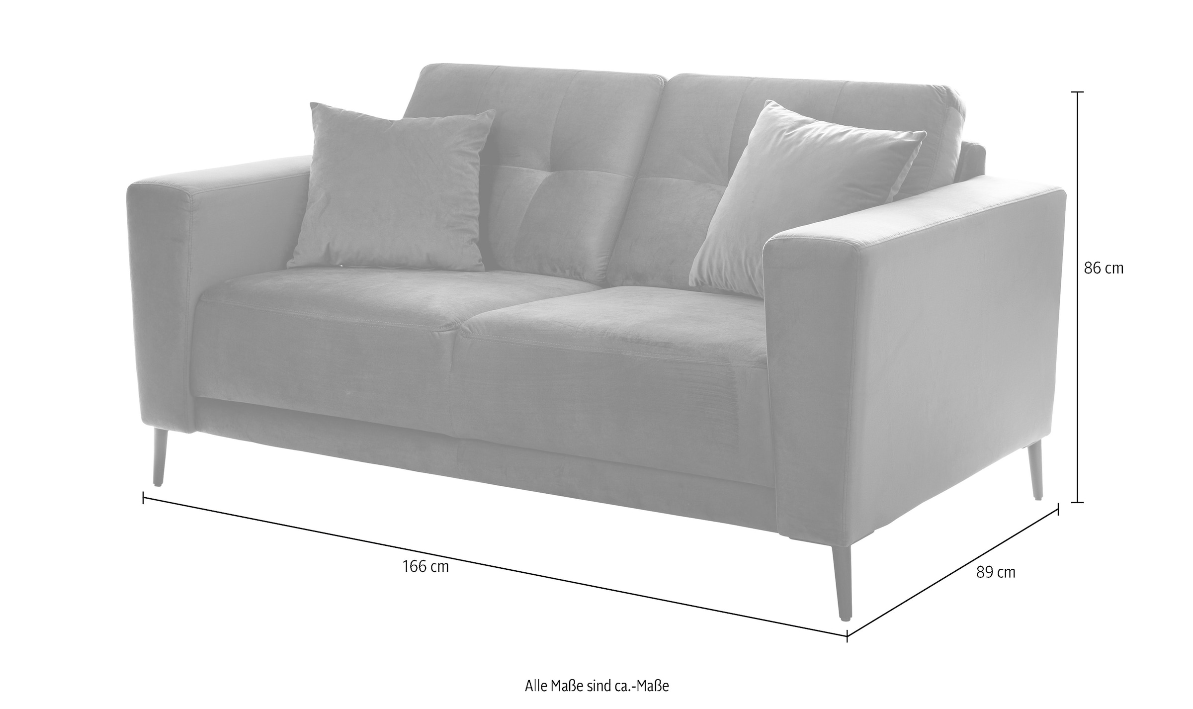 Trends by HG 2-Sitzer »Barcelona«, mit Metallfuss, frei im Raum stellbar