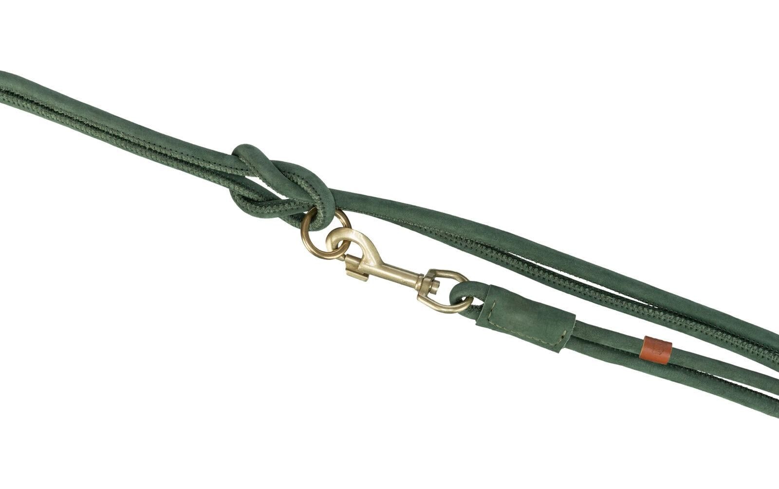 TRIXIE Laisse pour chien »Pure 2 m / 1 cm«