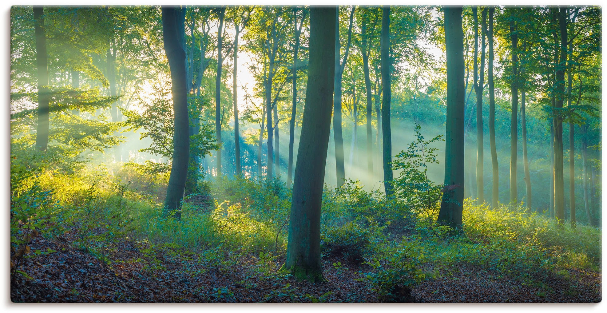 Image of Artland Leinwandbild "Wald Panorama" Waldbilder 1 Stk. tlg. auf Holzrahmen gespannt