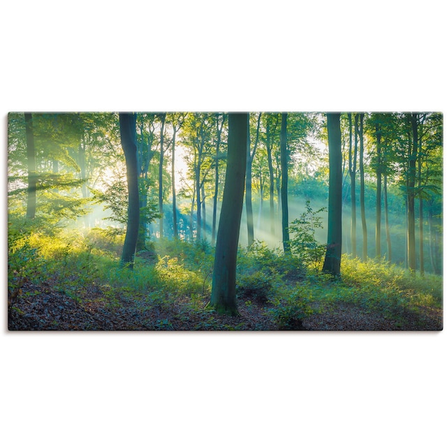 Artland Wandbild »Wald Panorama«, Waldbilder, (1 St.), als Alubild,  Leinwandbild, Wandaufkleber oder Poster in versch. Grössen jetzt kaufen