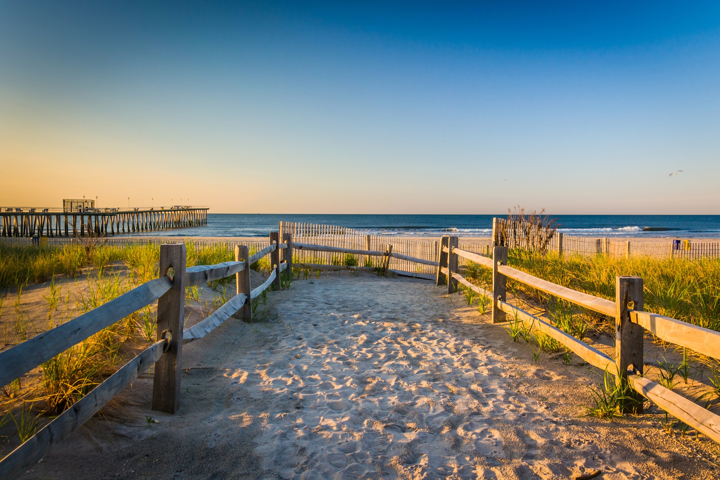 Image of Papermoon Fototapete "Dunes Atlantic Ocean" glatt