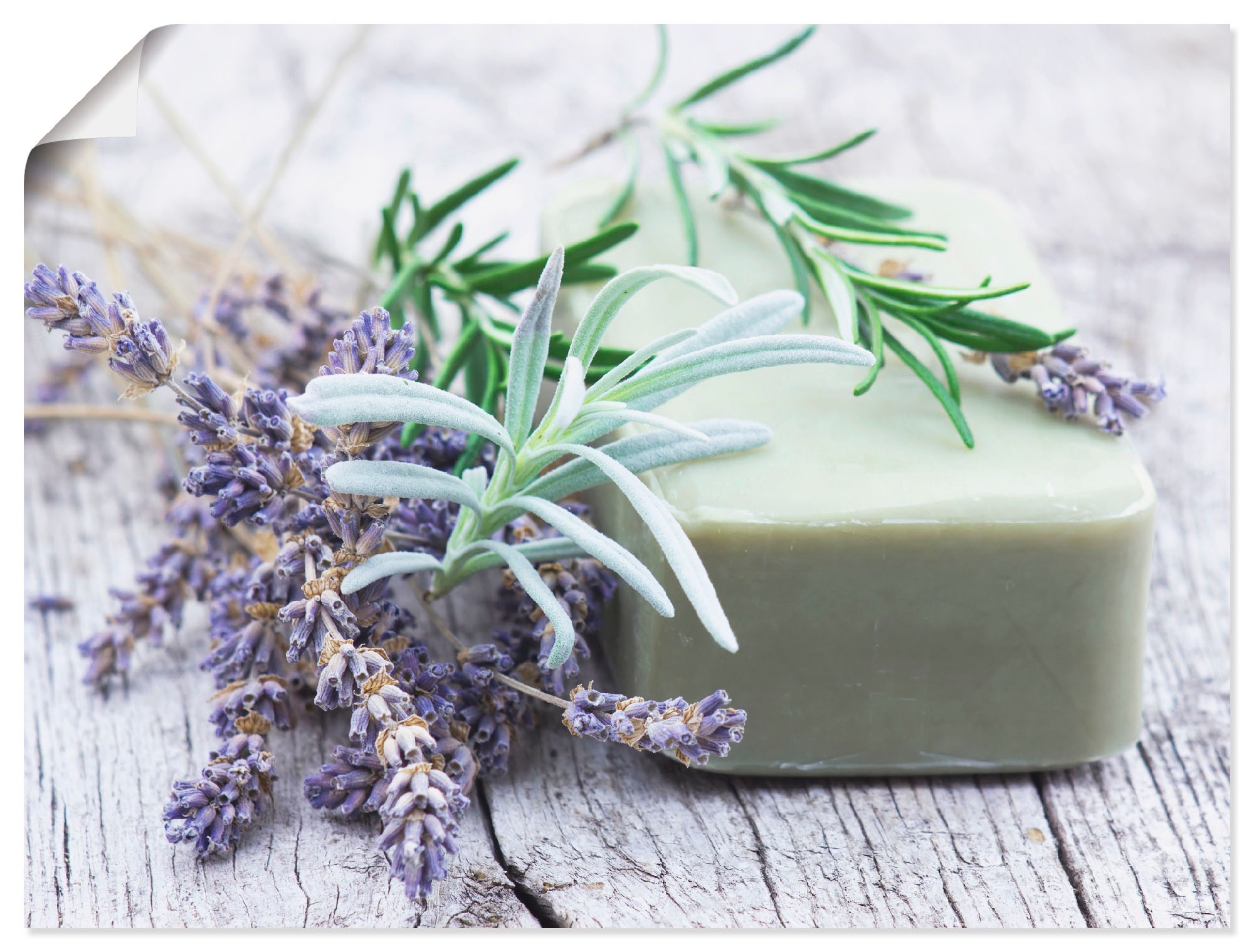 Image of Artland Wandbild »Stück natürlicher Seife mit Kräutern«, Spa, (1 St.), in vielen Grössen & Produktarten - Alubild / Outdoorbild für den Aussenbereich, Leinwandbild, Poster, Wandaufkleber / Wandtattoo auch für Badezimmer geeignet bei Ackermann Versand Schw