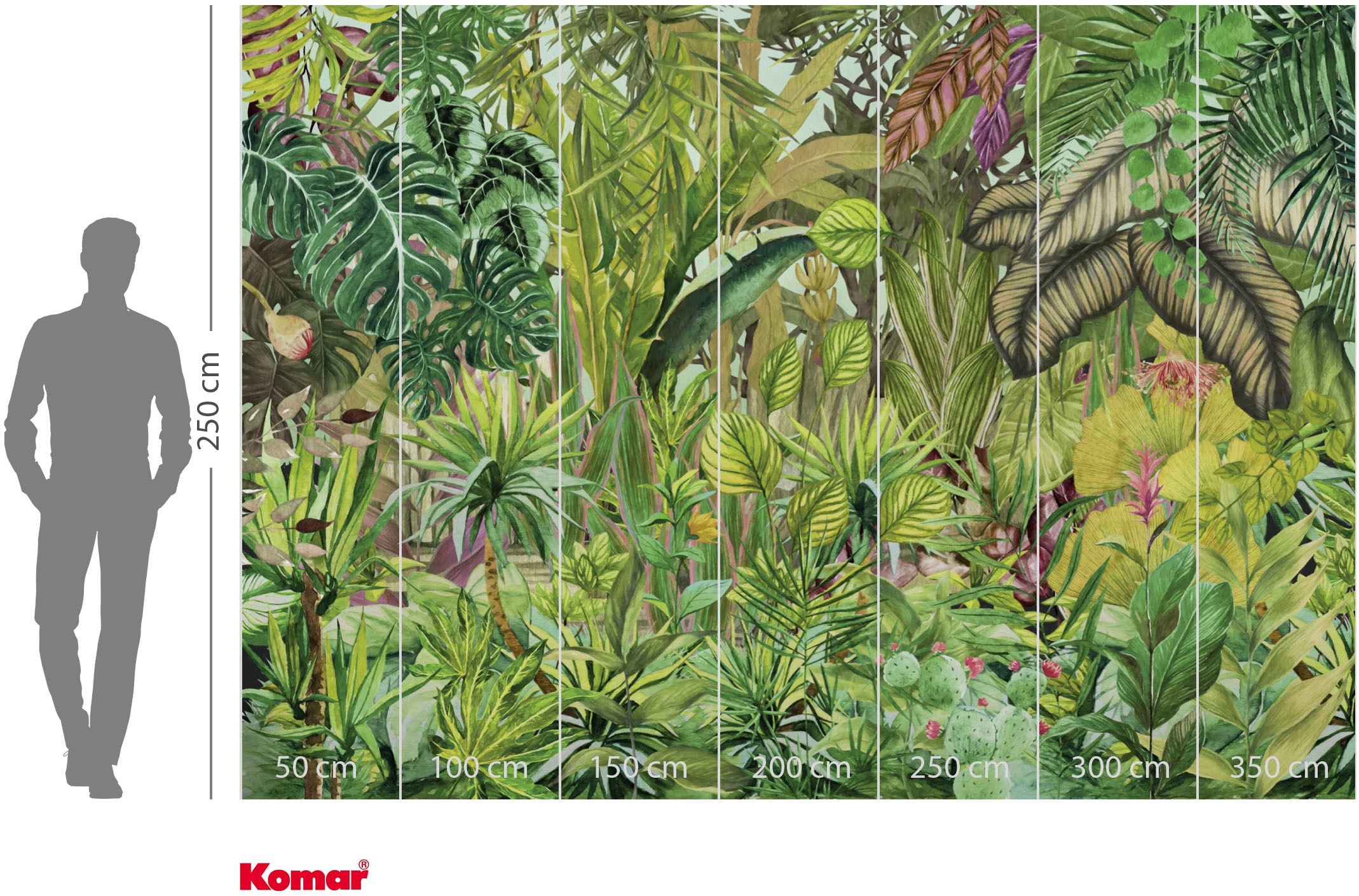 Komar Fototapete »Vlies Fototapete - Colorante - Grösse 350 x 250 cm« Motiv | bedruckt glatt