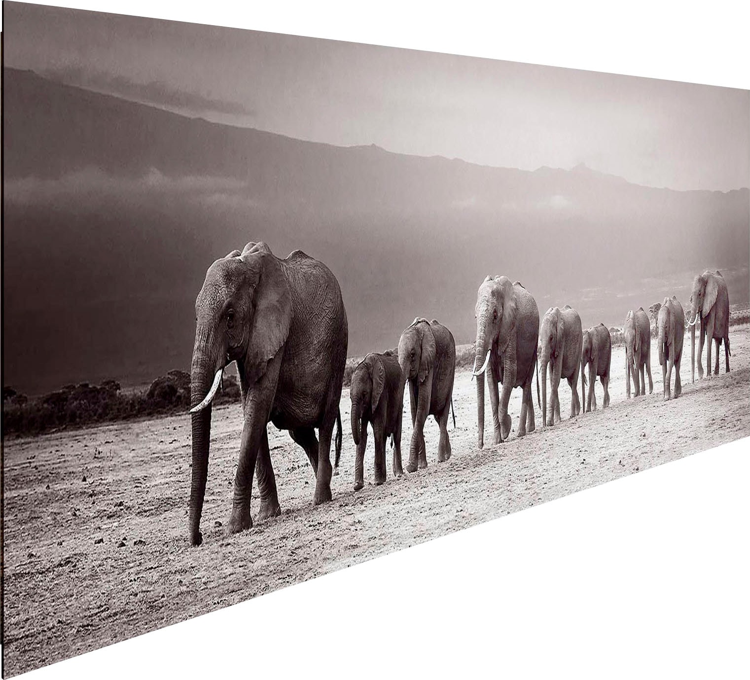 »Deco günstig Reinders! Panel Line Holzbild of Elephants« kaufen 52x156