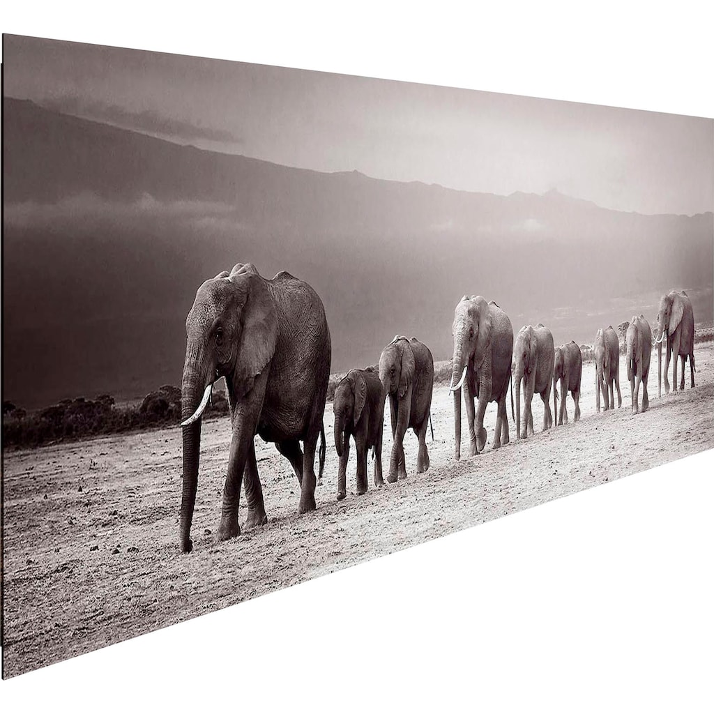 Reinders! Holzbild »Deco Panel 52x156 Line of Elephants«