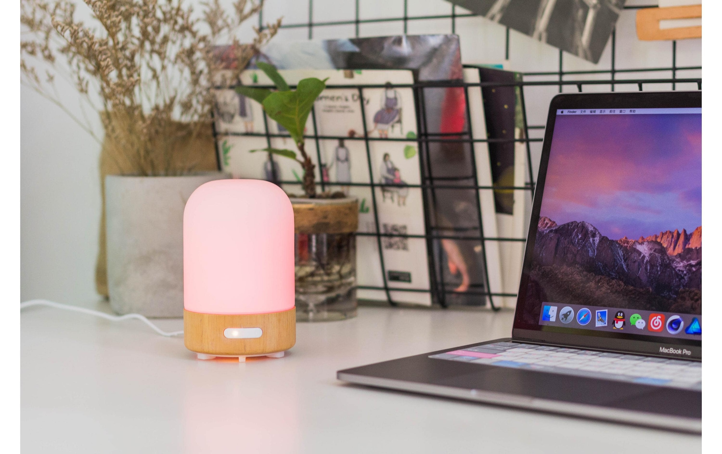 ohmex Diffuseur »100 ml, 30 ml/h«