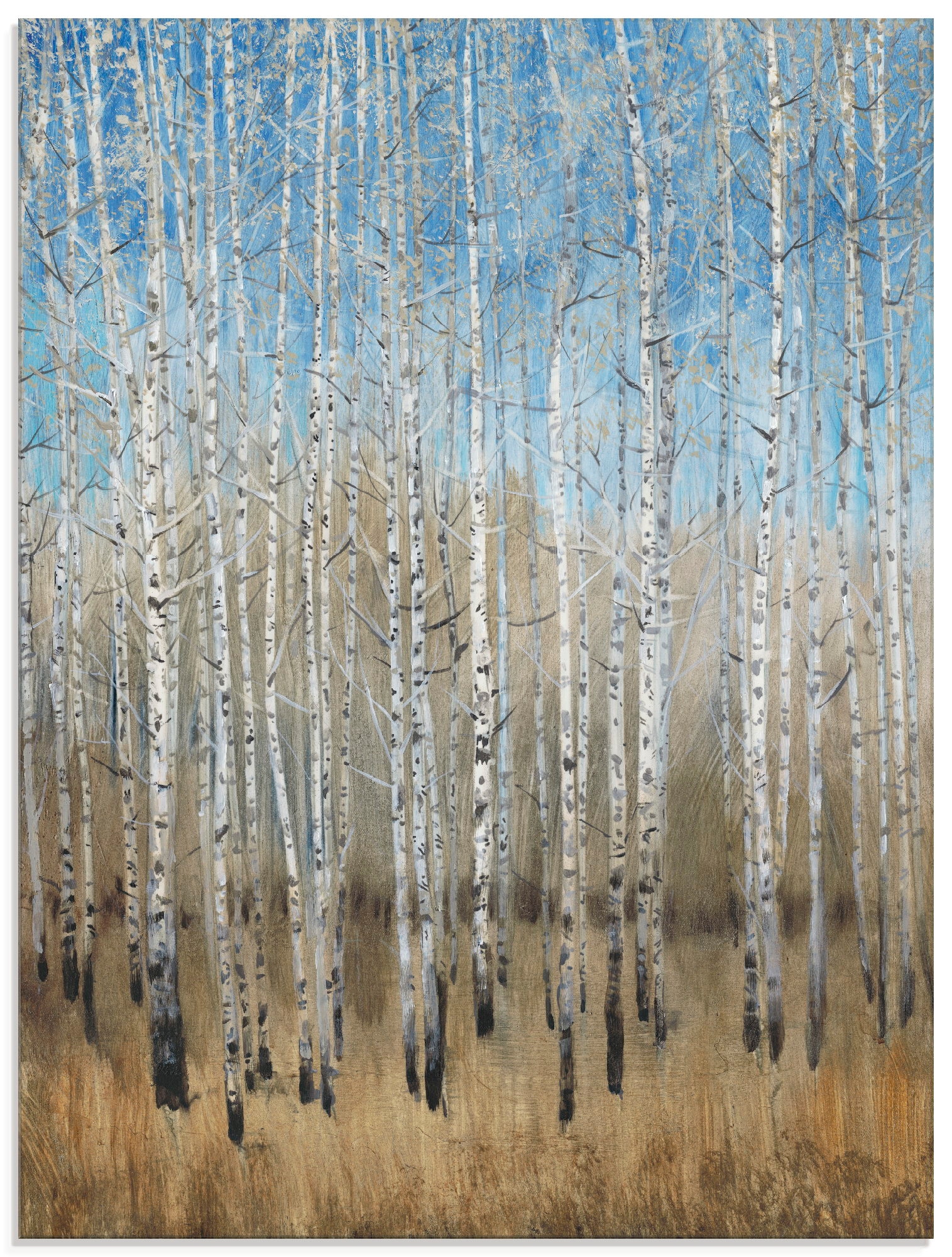 Glasbild »Staubige blaue Birken II«, Wald, (1 St.), in verschiedenen Grössen