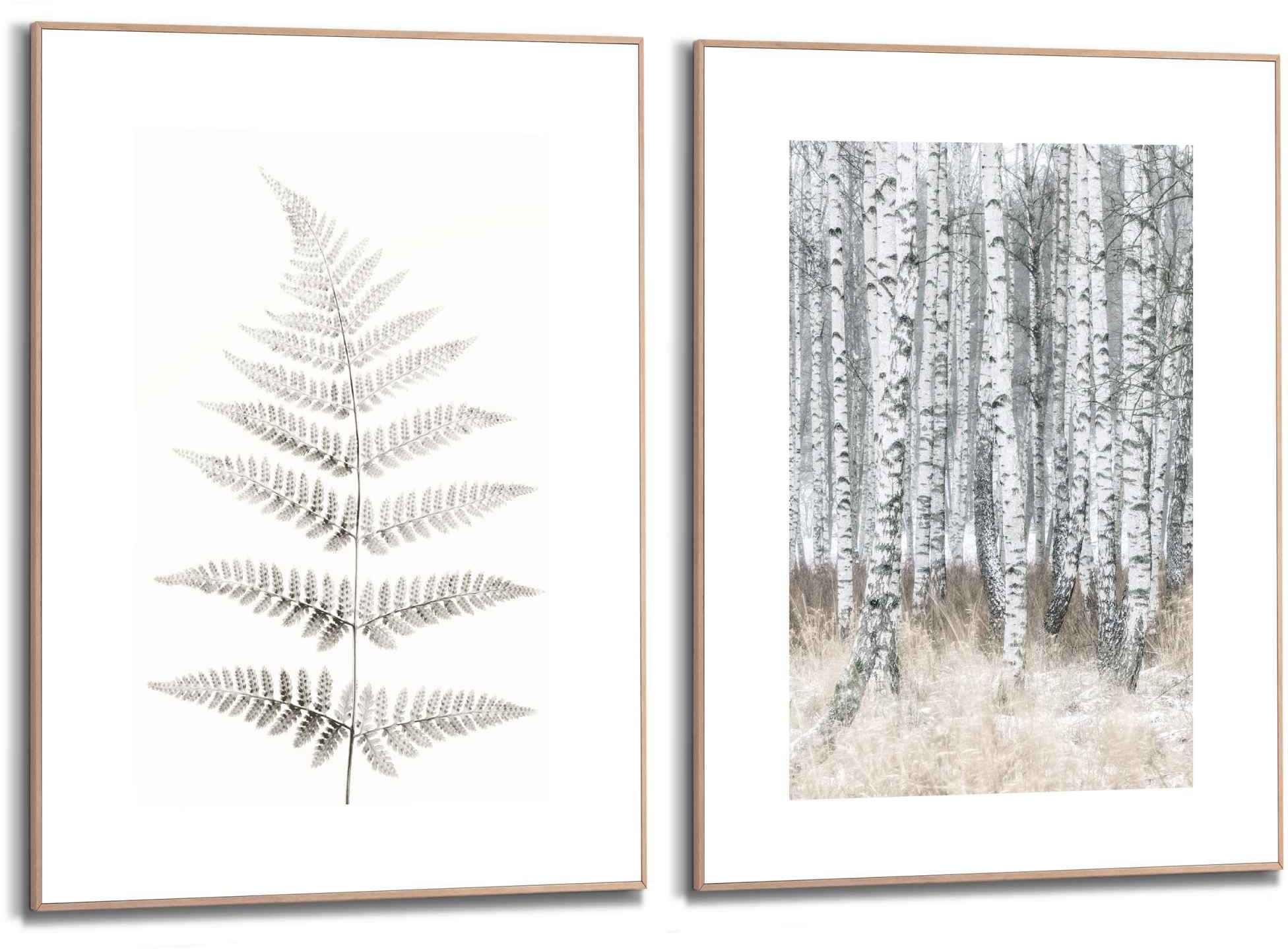 Image of Reinders! Wandbild »Wandbilder Set Ruhe im Wald Birken - Naturmotiv - Baum - Farn«, Wald, (2 St.) bei Ackermann Versand Schweiz