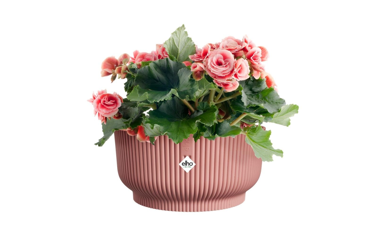 Elho Pot de fleurs »Vibes Fold Bowl 25 cm«