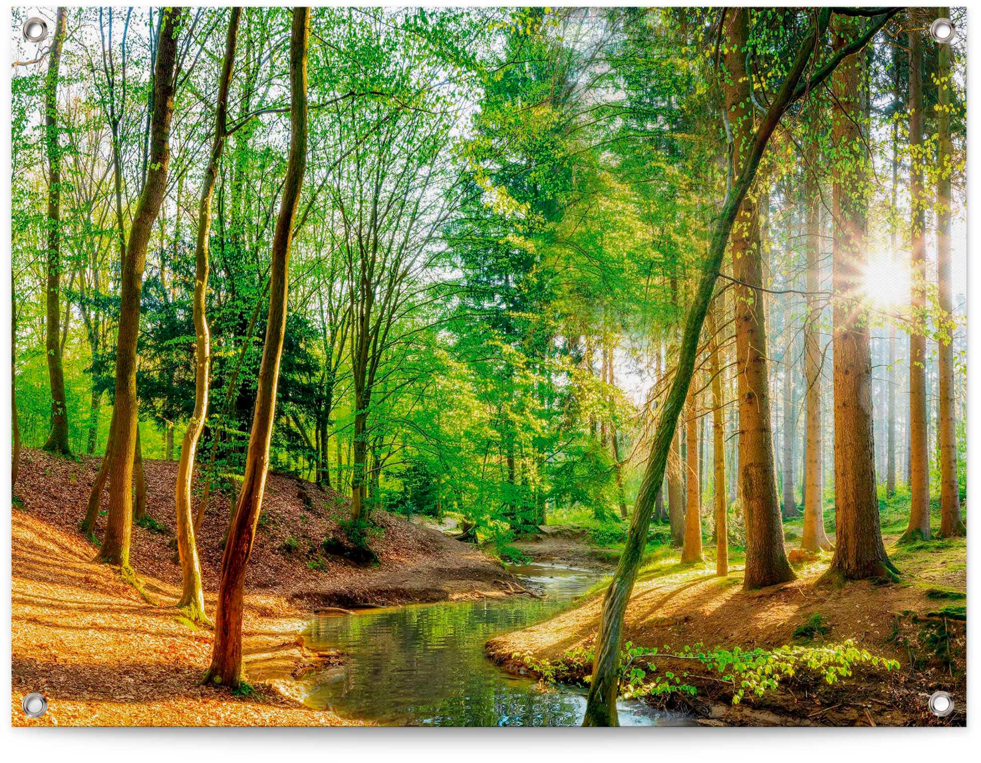 Image of Reinders Poster "Sonniger Wald"