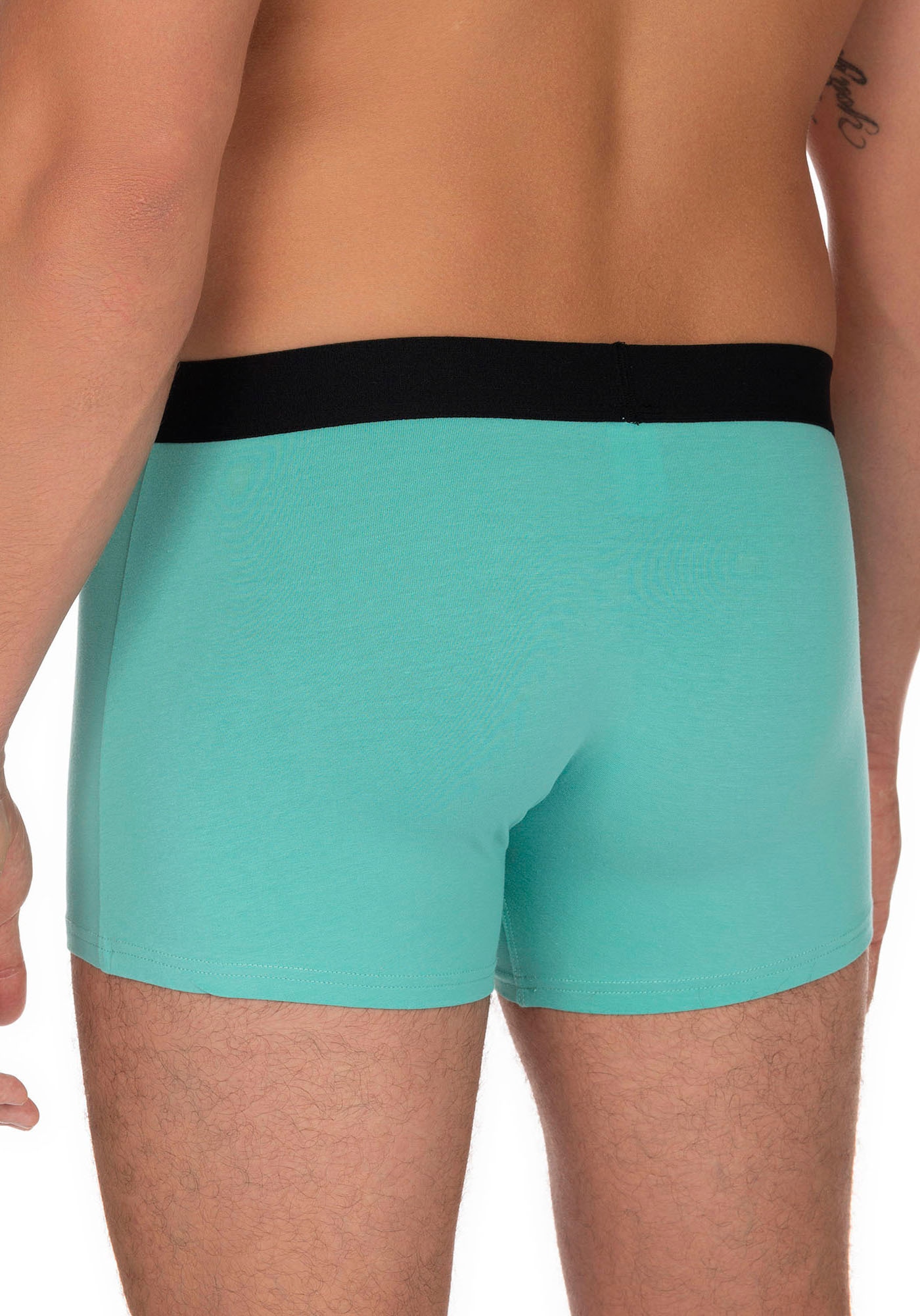 Bruno Banani Boxer, (2er Pack), mit kontrastreichem Logobund