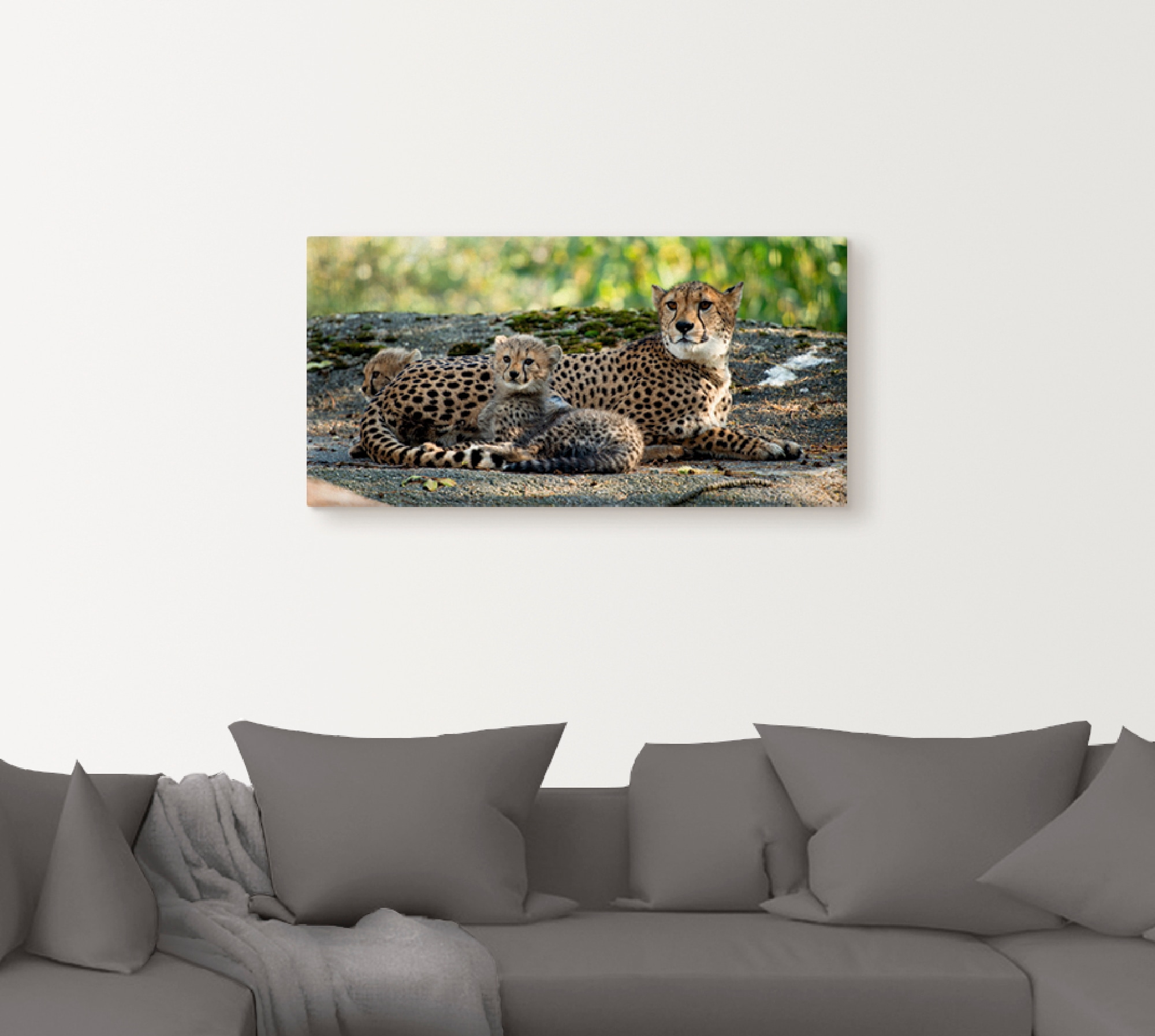 Artland Wandbild »Gepard 2«, Wildtiere, (1 St.), als Leinwandbild, Poster, Wandaufkleber in verschied. Grössen
