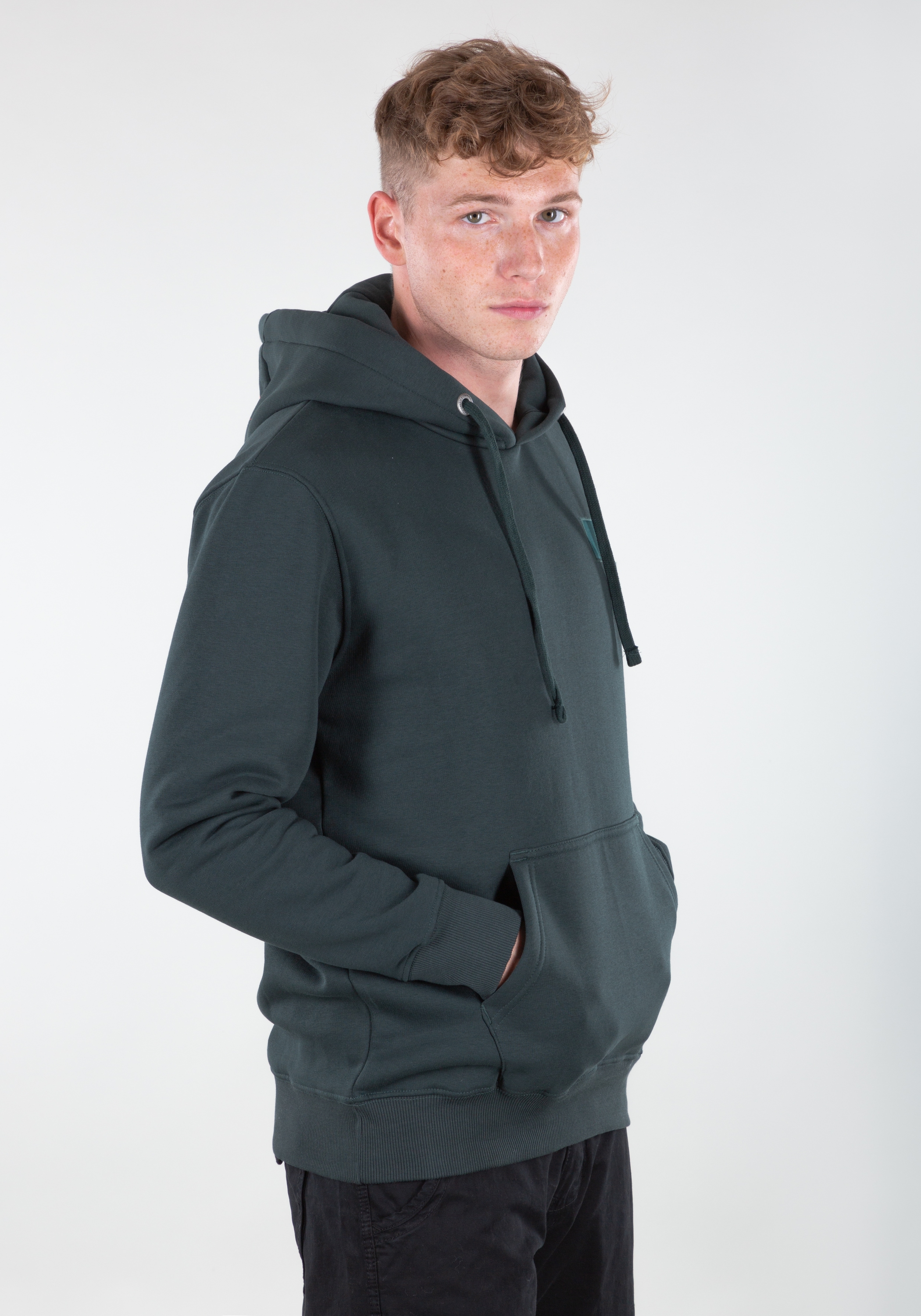 Alpha Industries Hoodie »Backprint Hoodie  Kapuzensweatshirt«