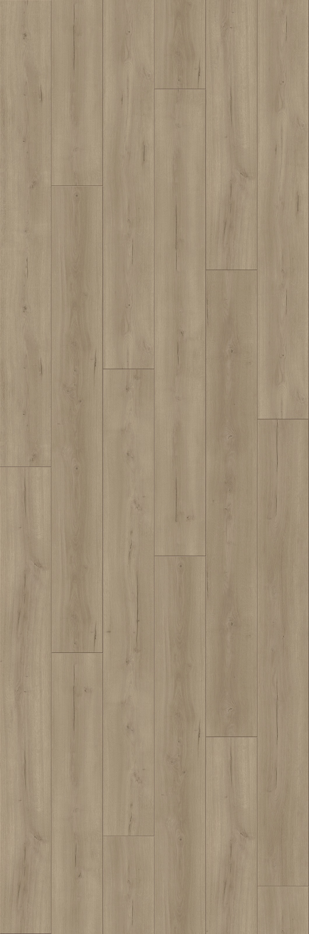 Image of PARADOR Laminat »Trendtime 6 - Eiche Loft Grau«, (Packung), spezielle Trägerplatte, 2200 x 243 mm, Stärke: 9 mm bei Ackermann Versand Schweiz