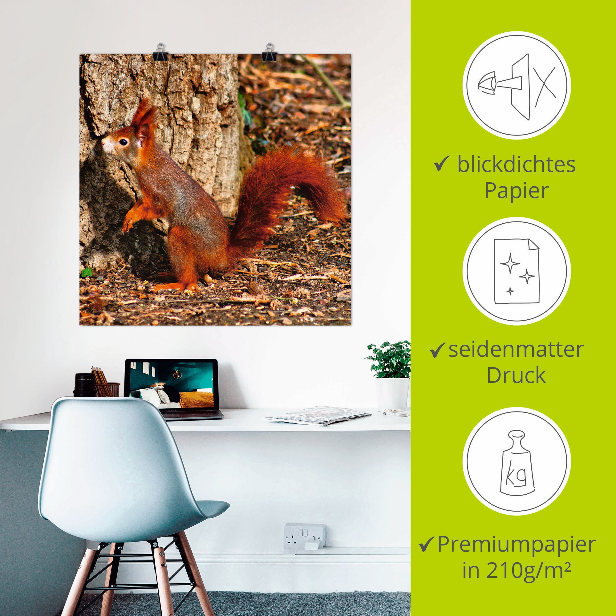 Artland Wandbild »Rotes Eichhörnchen will hoch hinaus«, Wildtiere, (1 St.), als Poster, Wandaufkleber in verschied. Grössen