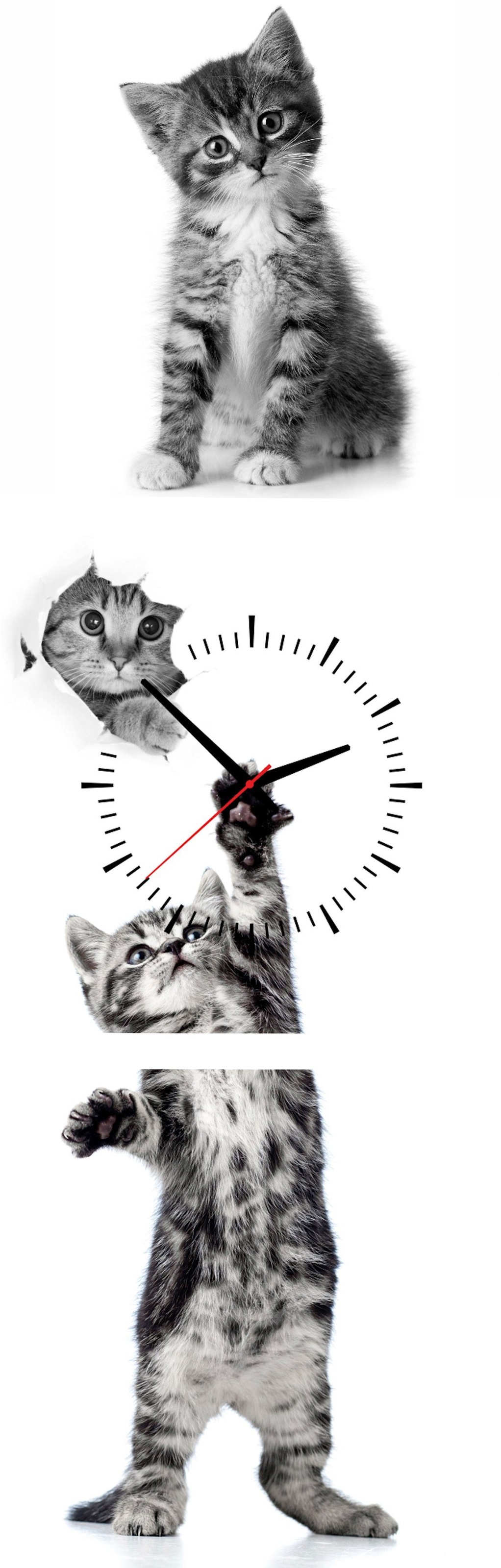Image of Conni Oberkircher´s Bild mit Uhr »Kitty - verspielte Katze«, Katzen, (Set, (Set 3), mit dekorativer Uhr, Haustiere bei Ackermann Versand Schweiz