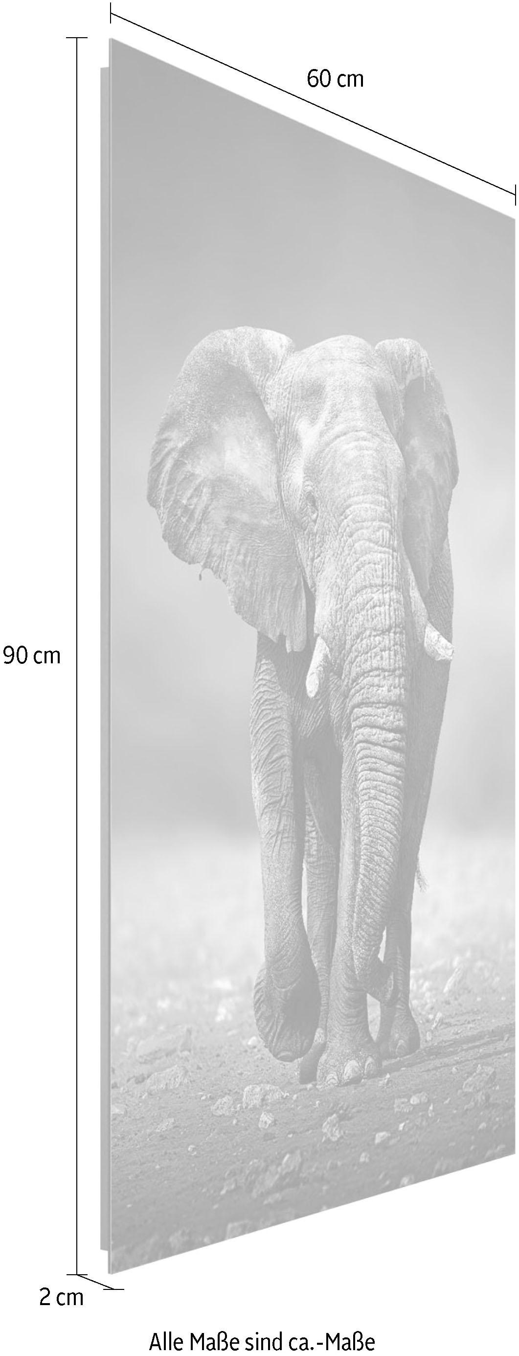 Reinders! »Elefant Deco-Panel Wanderung« kaufen
