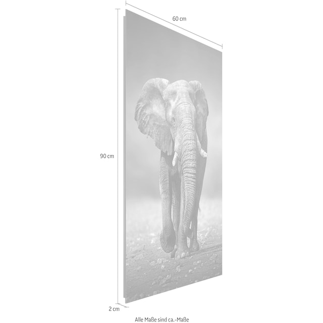 Reinders! Deco-Panel »Elefant Wanderung« kaufen