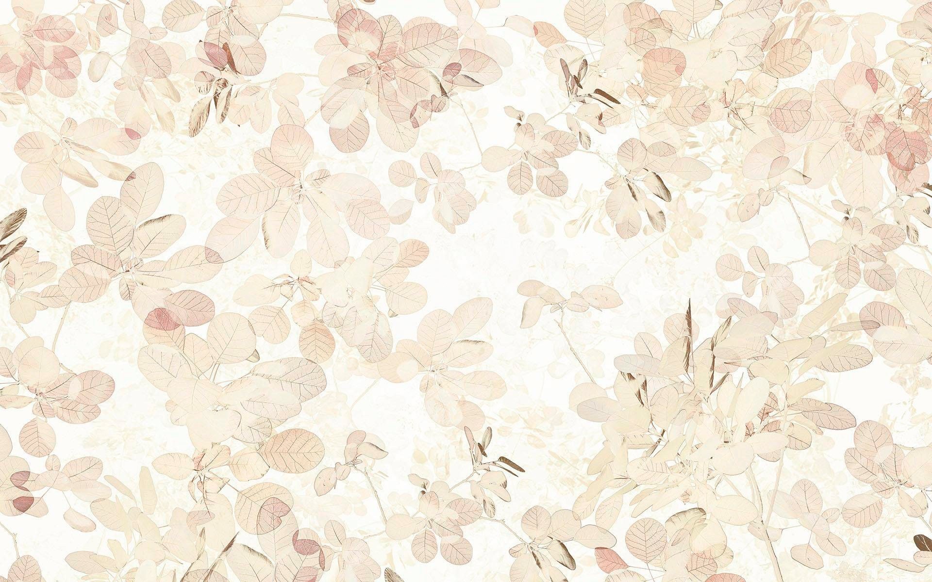 Image of Komar Vliestapete »Sheer«, naturalistisch bei Ackermann Versand Schweiz