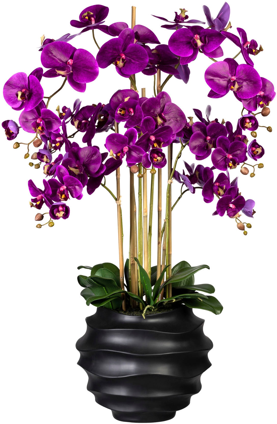 Creativ green »Phalaenopsis«, in Design-Kunststoffvase Kunstorchidee kaufen