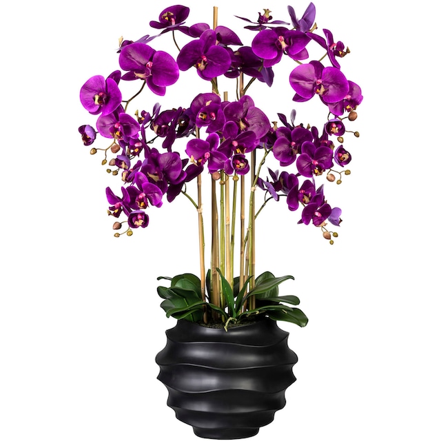 Creativ green Kunstorchidee »Phalaenopsis«, in Design-Kunststoffvase kaufen