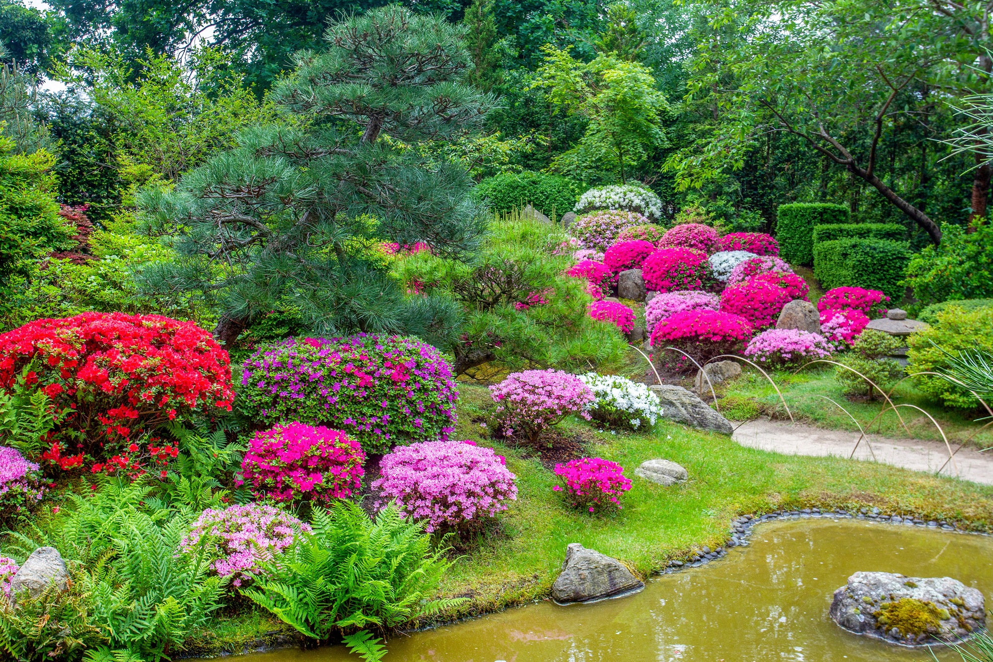 Fototapete »GARTEN-BLUMEN BÄUME PFLANZEN STEINE WALD PARK BLÜTEN«