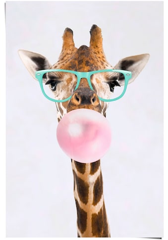 Poster »Poster Funky Giraffe«, Giraffen, (1 St.)