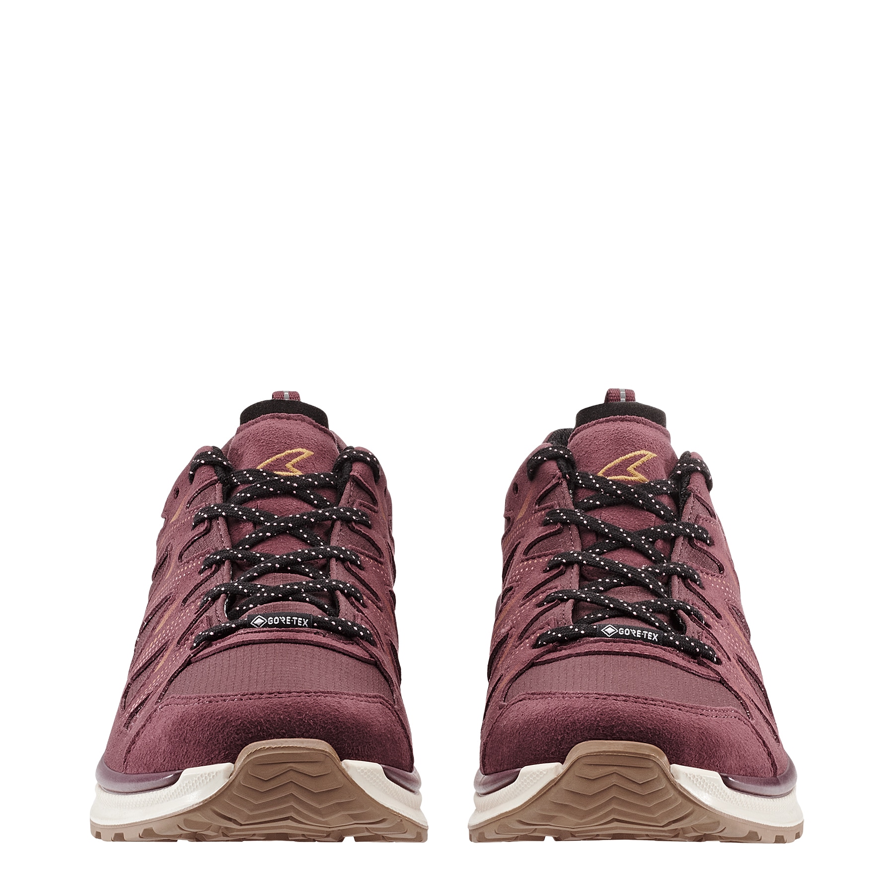 Lowa Wanderschuh »INNOX EVO II GORE-TEX WS«, wasserdicht