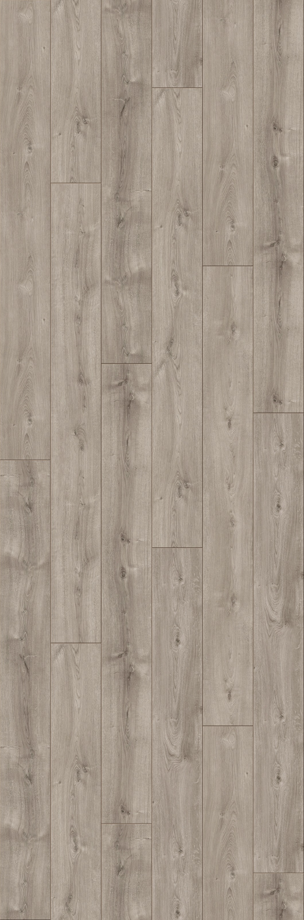 Image of PARADOR Laminat »Trendtime 6 - Eiche Valere perlgrau«, (Packung), spezielle Trägerplatte, 2200 x 243 mm, Stärke: 9 mm bei Ackermann Versand Schweiz