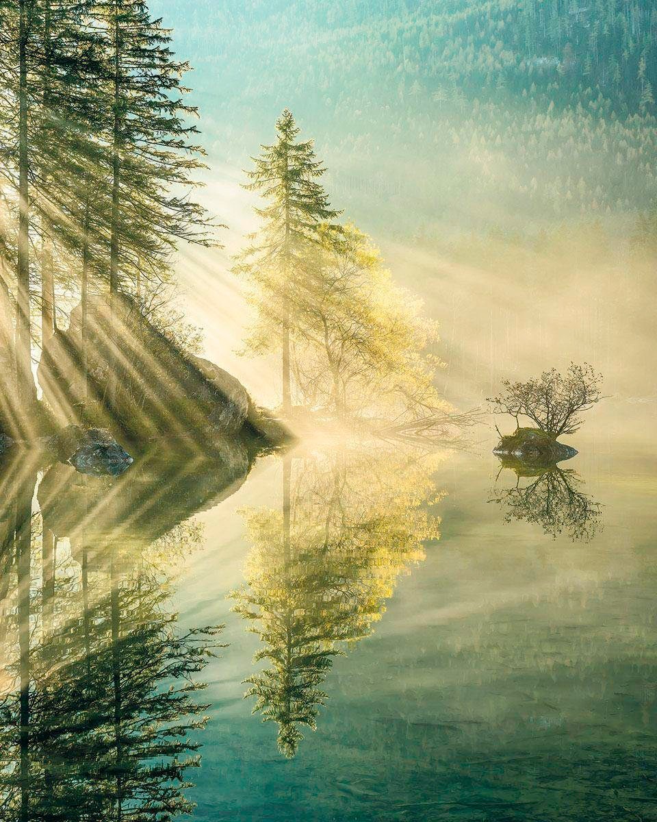 Image of Komar Vliestapete »Indulgence of Beauty«, naturalistisch bei Ackermann Versand Schweiz