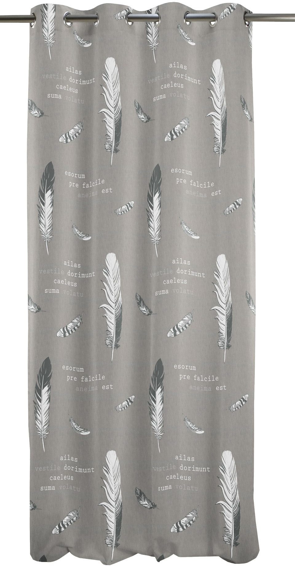 Image of APELT Vorhang »Iris«, (1 St.), HxB: 245x122 bei Ackermann Versand Schweiz