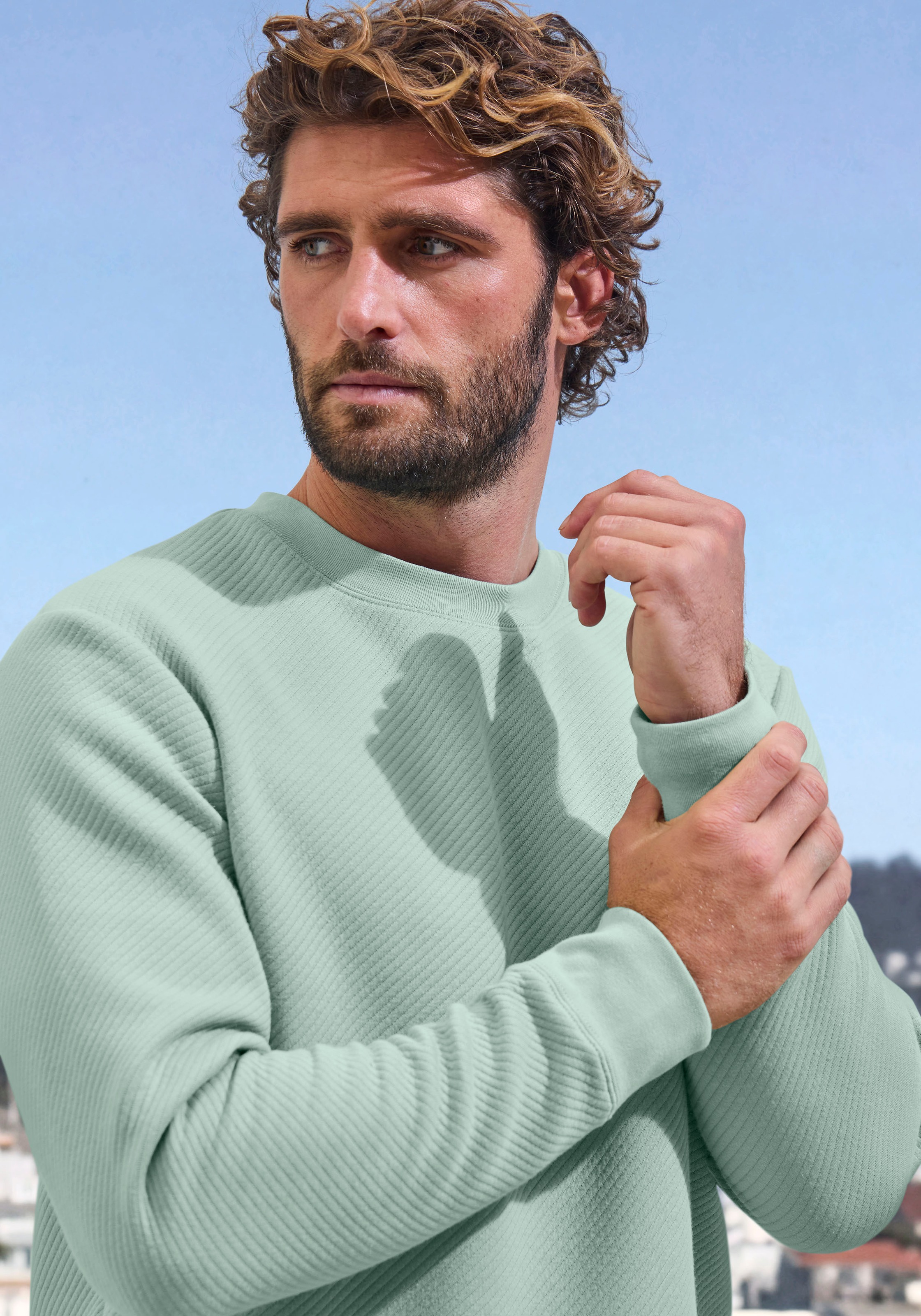 John Devin Sweatshirt, Langarm, Pullover mit Struktur, Rundhals, Baumwollmischung