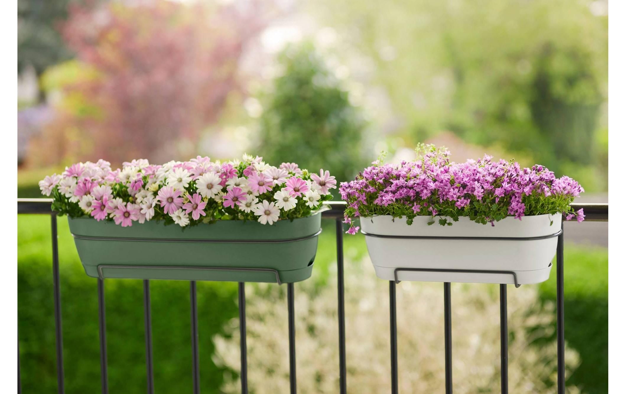 Elho Blumentopf »Vibia Campana Balkonkasten Allin1 50 cm«