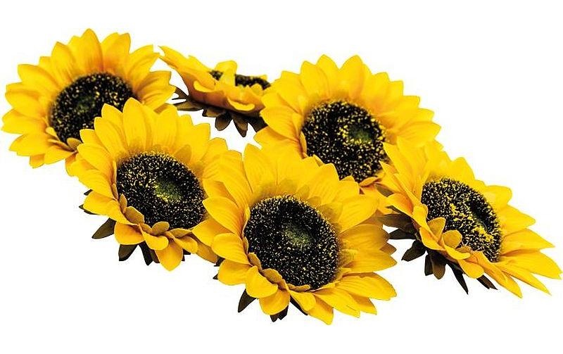 Image of Kunstblume "Kunstblume Sommenblumenb"