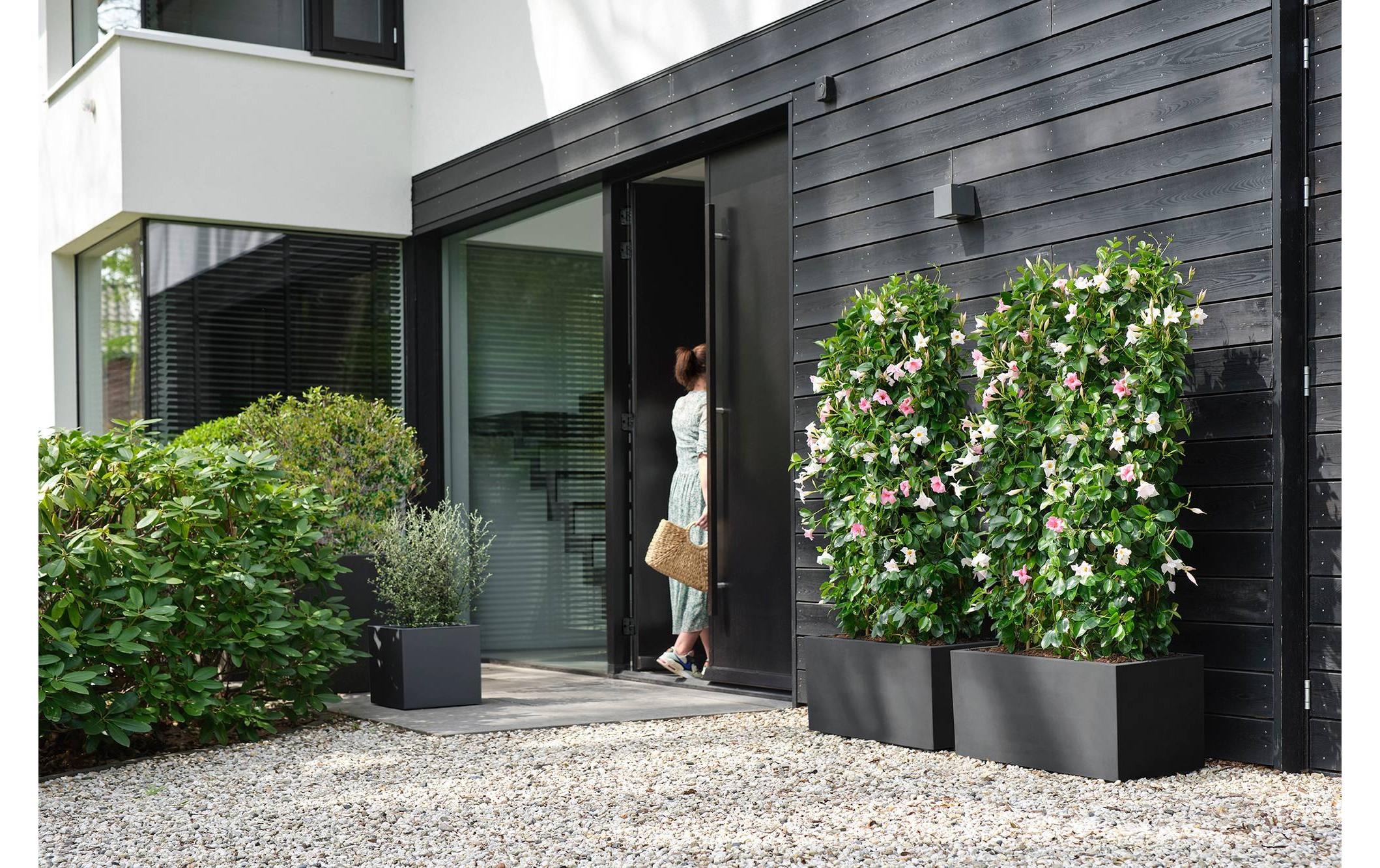 Elho Blumentopf »Next Quadrat 30 cm«