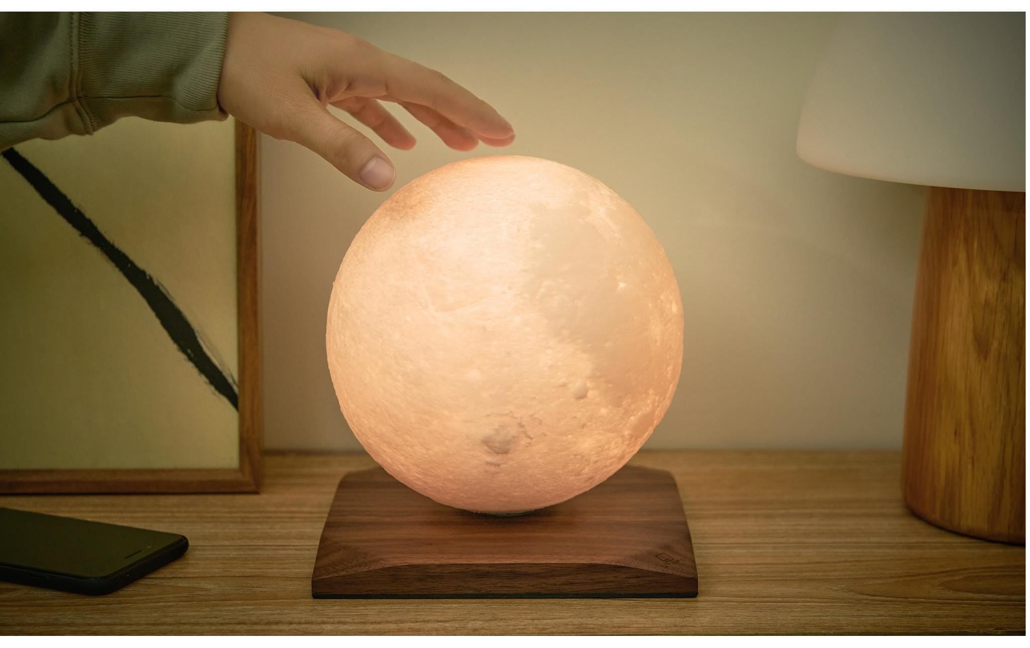 LED Dekofigur »Gingko LED LunaSpin Large«