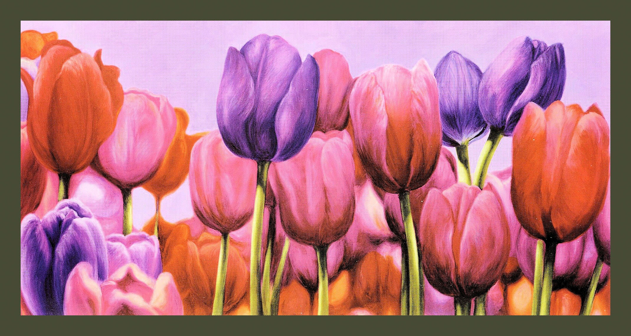 Image of my home Bild mit Rahmen »CORTESE / Campo di Tulipani«, (1 St.) bei Ackermann Versand Schweiz