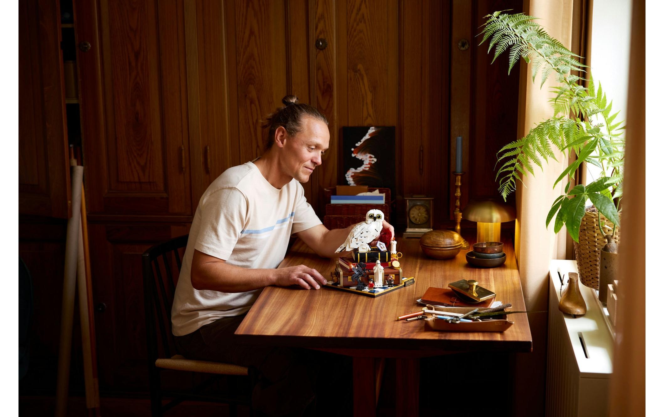   Pions de construction »Harry Potter Stein der Weisen – Sammleredition 76466« Kategorie: Film