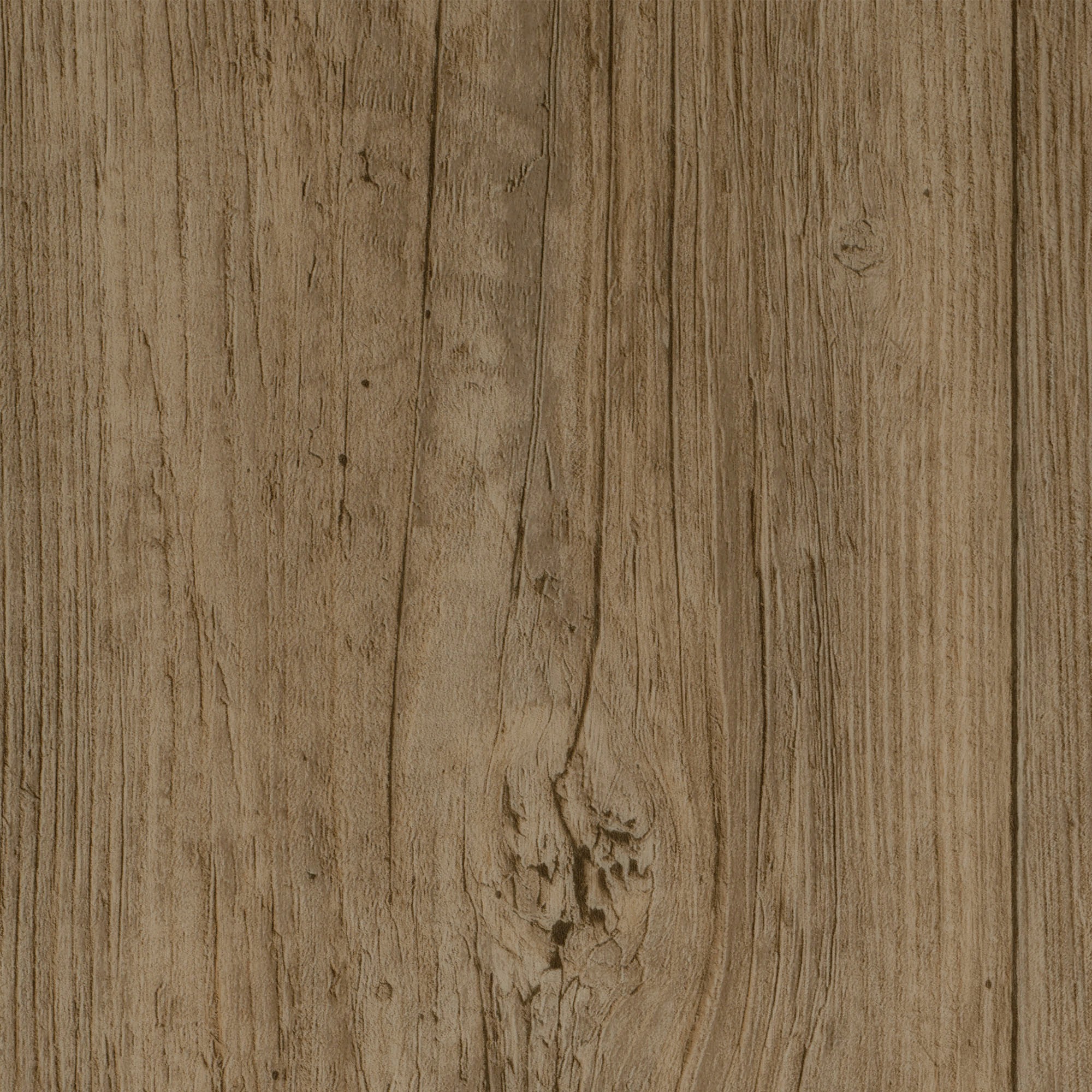 Image of Bodenmeister Vinylboden »PVC Bodenbelag Holzoptik Diele Pinie hell-grau«, Meterware, Breite 200/300/400 cm bei Ackermann Versand Schweiz