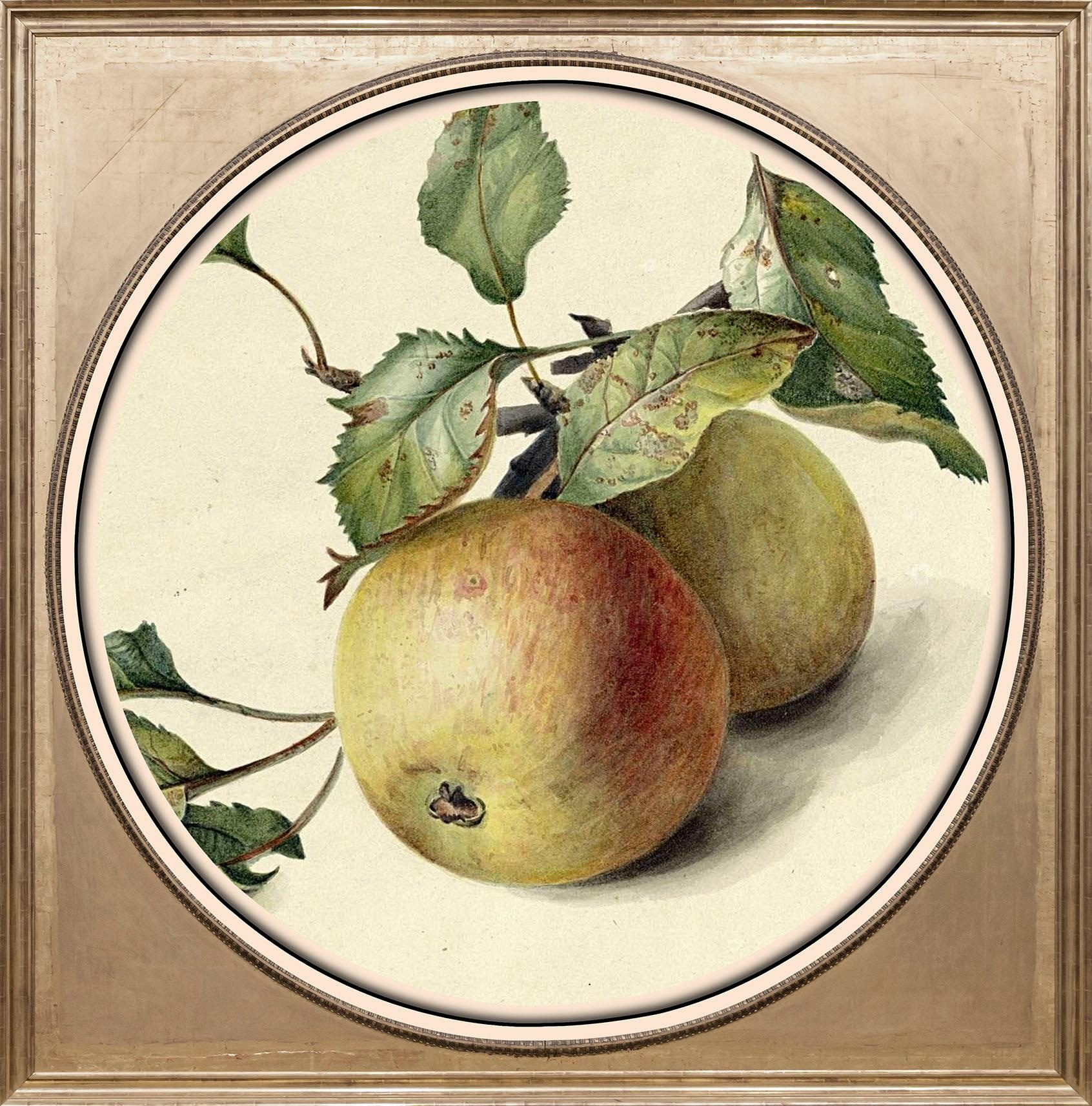 Image of queence Acrylglasbild "Äpfel" Gemälde Kunst Obst Obst Bilder Fine Art-Print in Galeriequalität