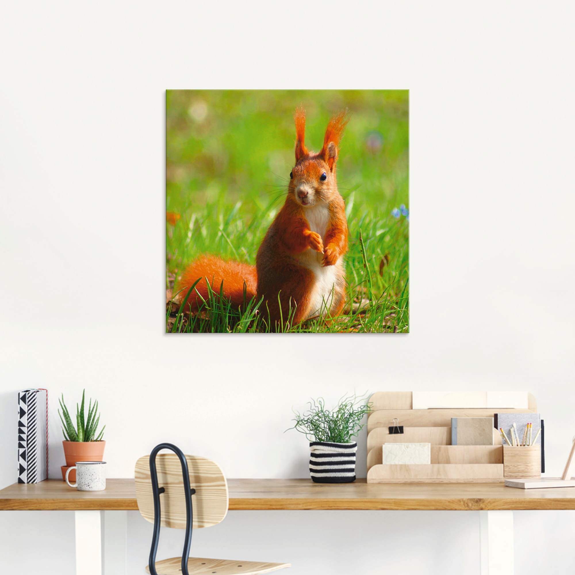 Artland Glasbild »Eichhörnchen Kontakt«, Wildtiere, (1 St.), in verschiedenen Grössen