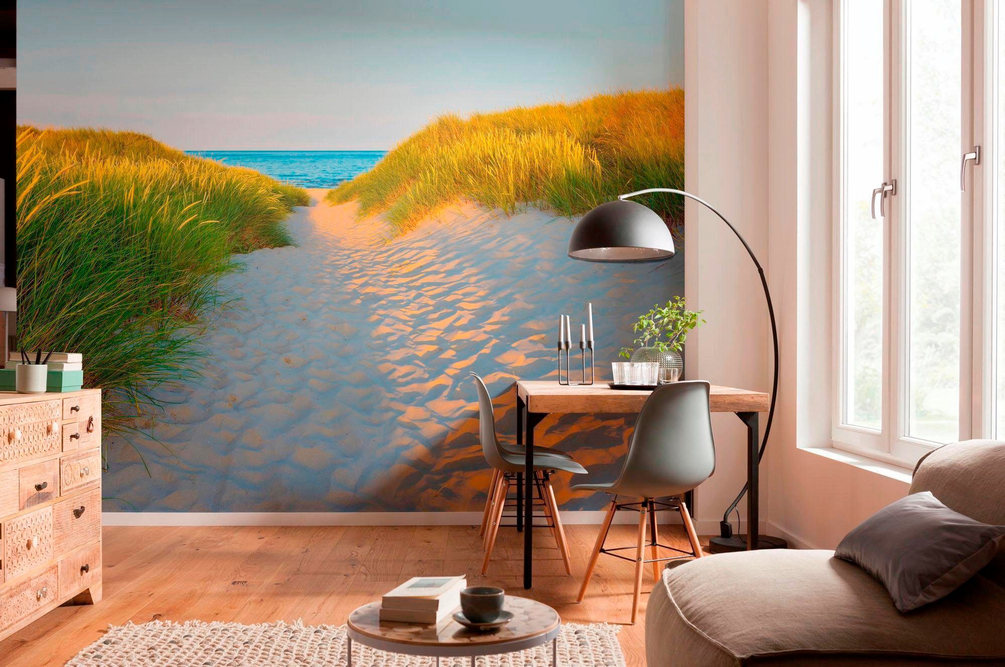 Komar Fototapete "Sandy Path - Größe 368 x 254 cm" bedruckt glatt Wohnzimmer, Schlafzimmer
