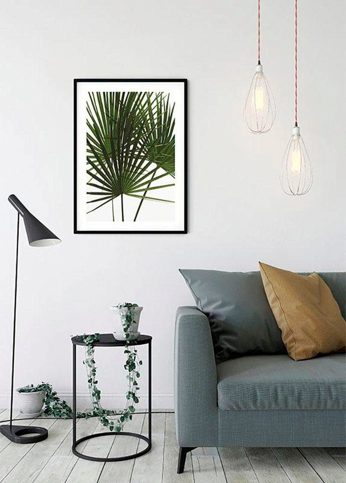 Komar Image »Palmtree Leaves« 1 cuis tlg. Wandbild zur Dekoration - ohne Rahmen