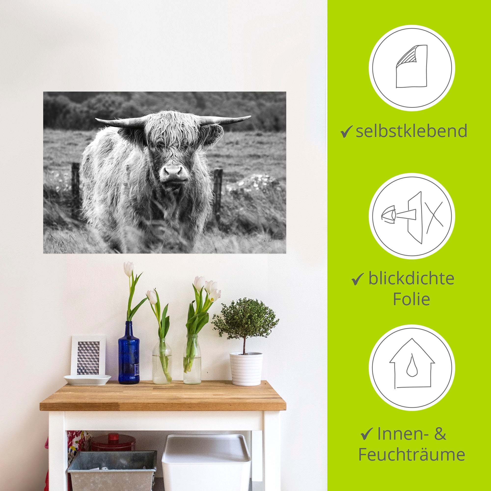 Artland Wandbild »Happy Highland« Wildtiere 1 Stk. tlg. als Alubild, Leinwandbild, Poster, Wandaufkleber in verschied. Grössen