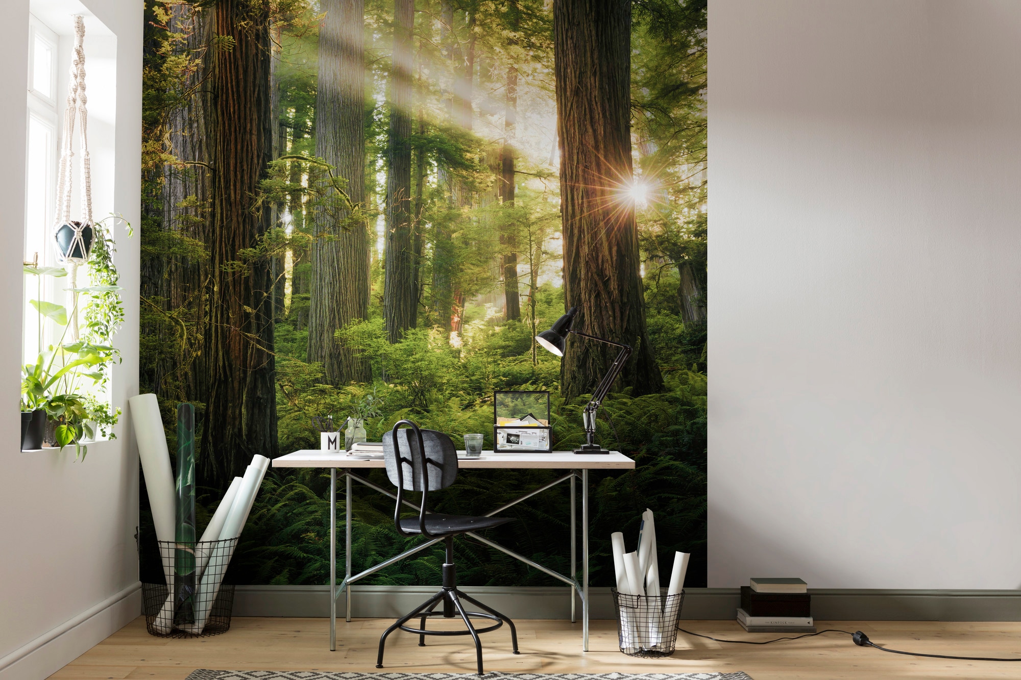 Komar Papier peint intissé »Digitaldruck Vlies -  Goblins Woods - Grösse 250 x 280 cm« imprimé Wohnzimmer, Schlafzimmer