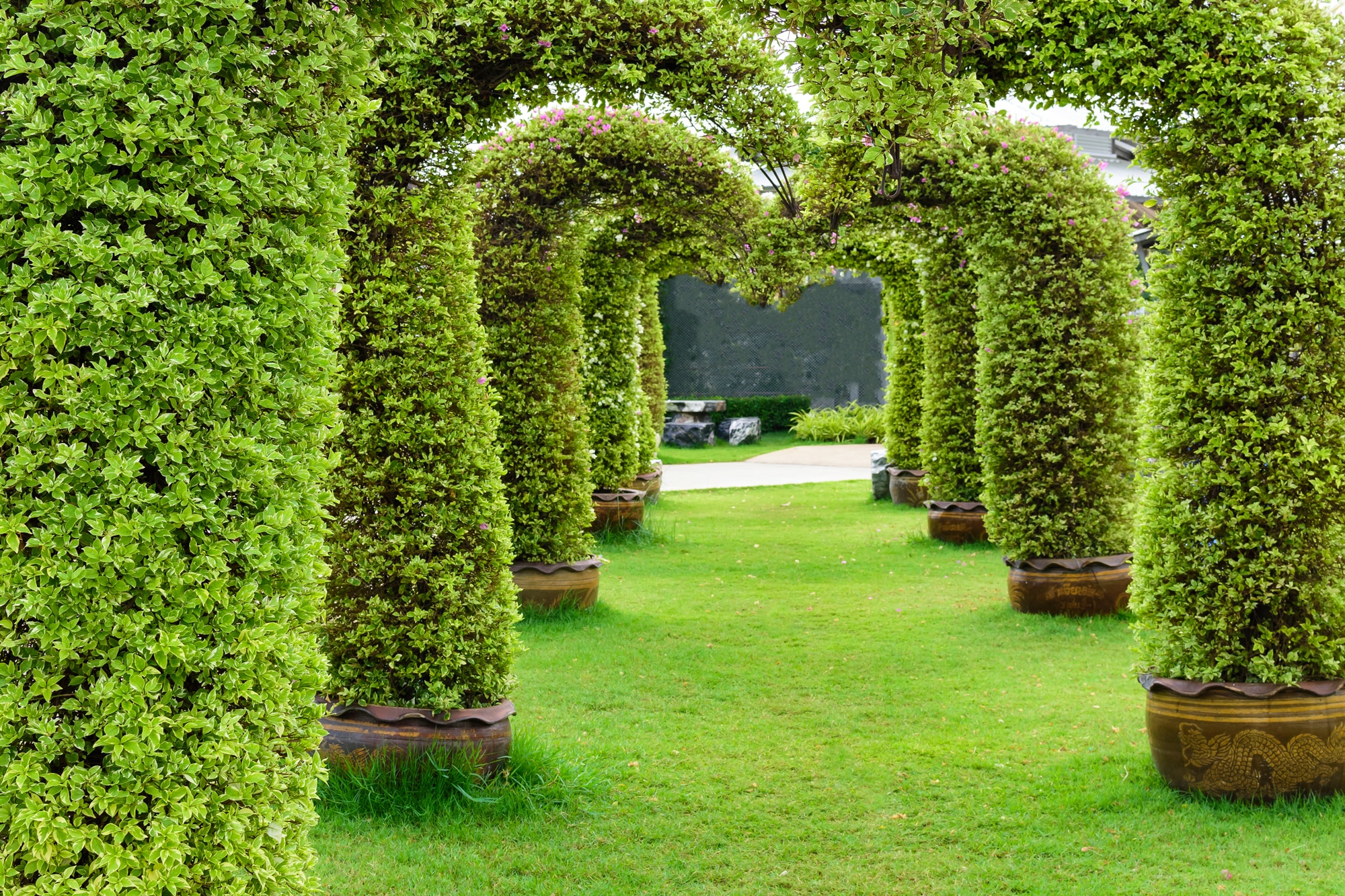 Image of Papermoon Fototapete "GARTEN-ALLEE BLUMEN BÄUME PFLANZEN STEINE WALD PERGOLA"